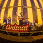 Animal. Clownia Festival 2016 a Sant Joan de les A