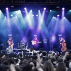 Els Catarres a la Telecogresca